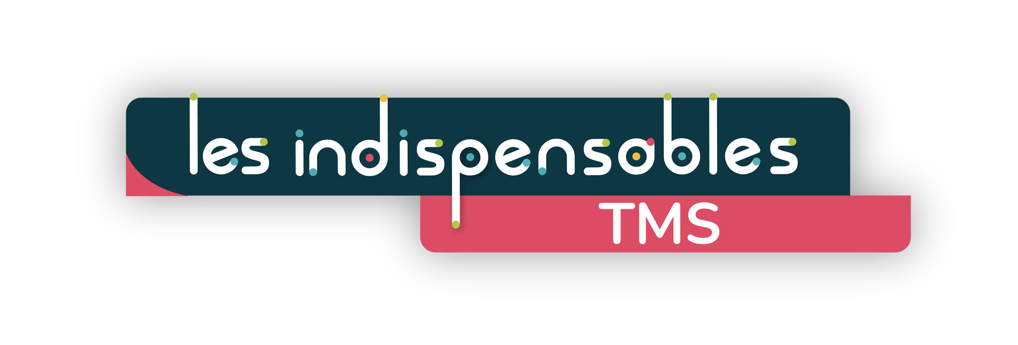 LOGO TMS INDISPENSABLE Bloc Coul 1
